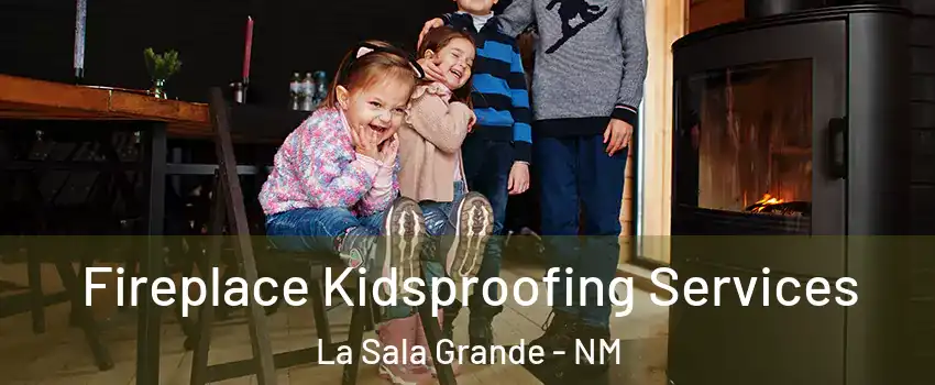 Fireplace Kidsproofing Services La Sala Grande - NM