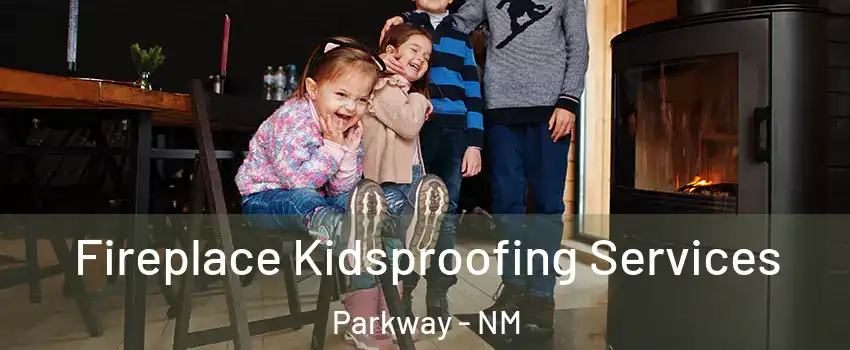 Fireplace Kidsproofing Services Parkway - NM