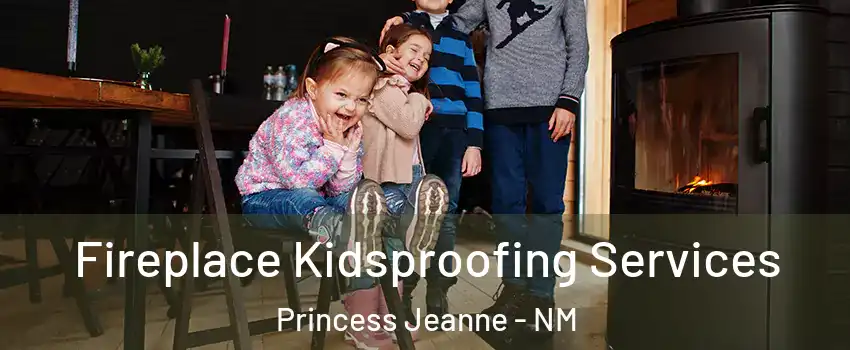 Fireplace Kidsproofing Services Princess Jeanne - NM