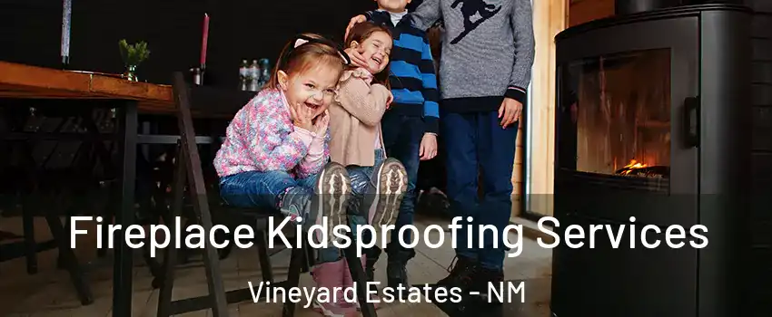 Fireplace Kidsproofing Services Vineyard Estates - NM