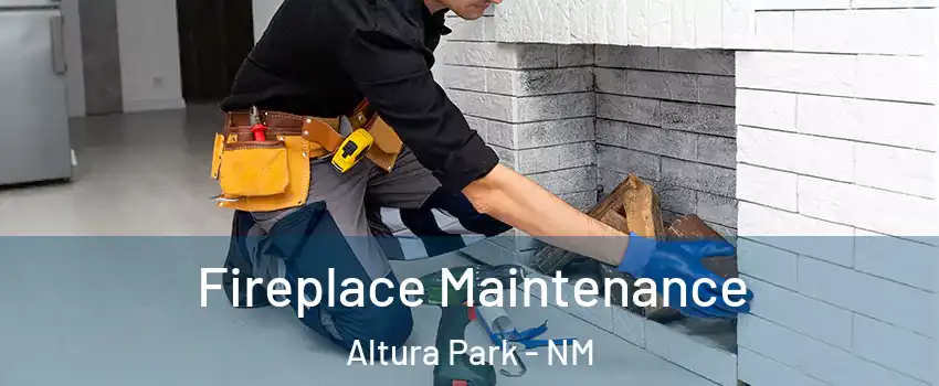 Fireplace Maintenance Altura Park - NM