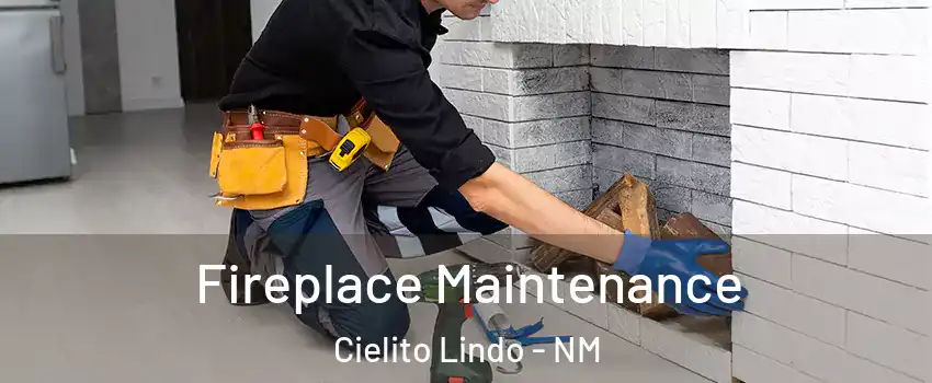 Fireplace Maintenance Cielito Lindo - NM