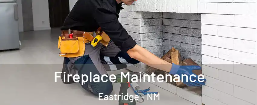 Fireplace Maintenance Eastridge - NM