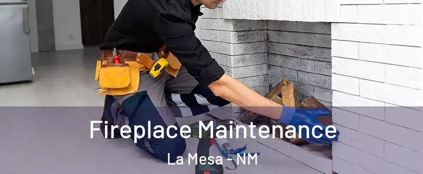 Fireplace Maintenance La Mesa - NM