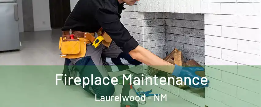 Fireplace Maintenance Laurelwood - NM