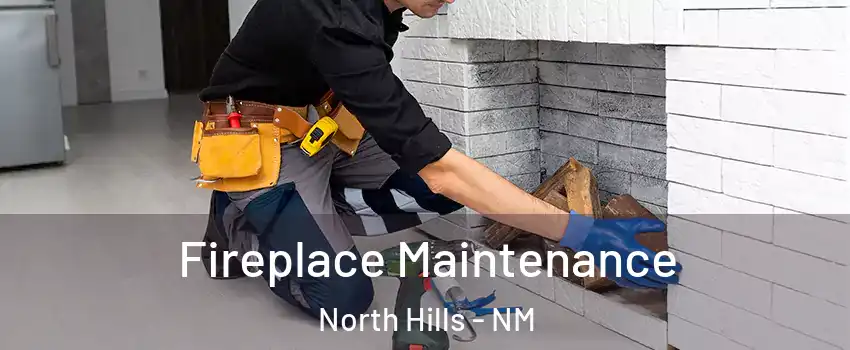 Fireplace Maintenance North Hills - NM