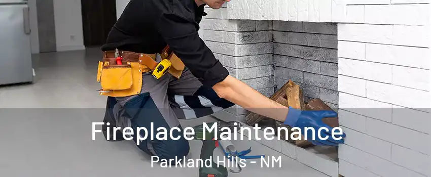 Fireplace Maintenance Parkland Hills - NM