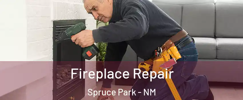 Fireplace Repair Spruce Park - NM