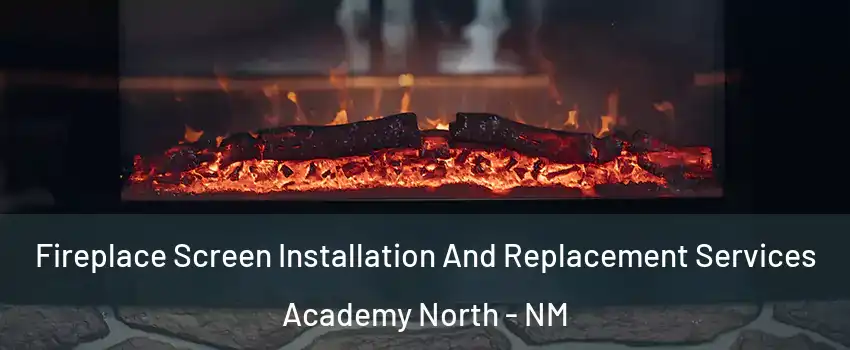 Fireplace Screen Installation And Replacement Services Academy North - NM