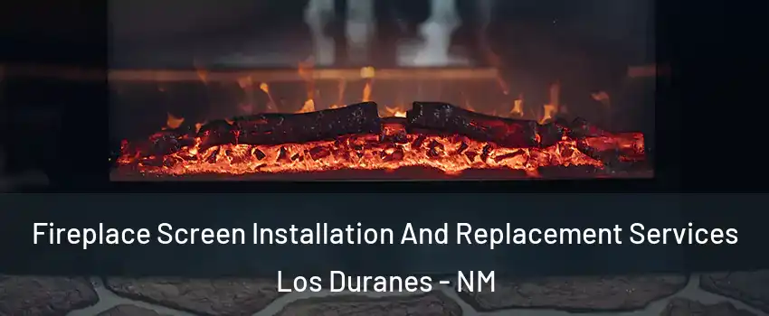 Fireplace Screen Installation And Replacement Services Los Duranes - NM