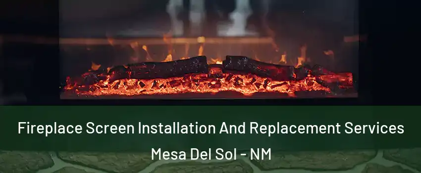 Fireplace Screen Installation And Replacement Services Mesa Del Sol - NM