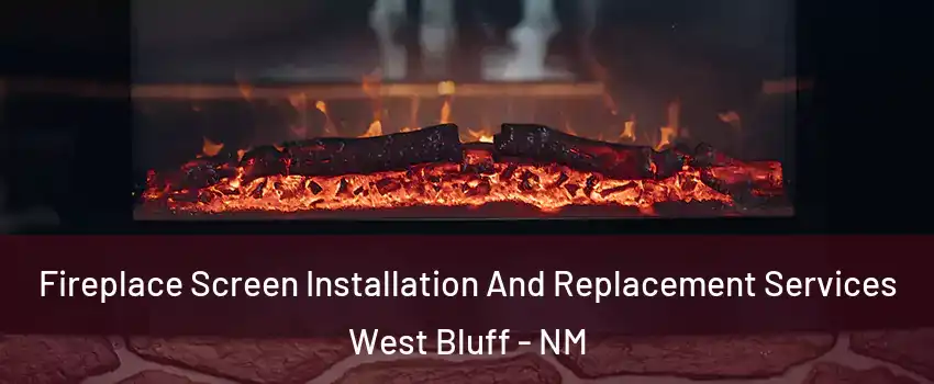 Fireplace Screen Installation And Replacement Services West Bluff - NM