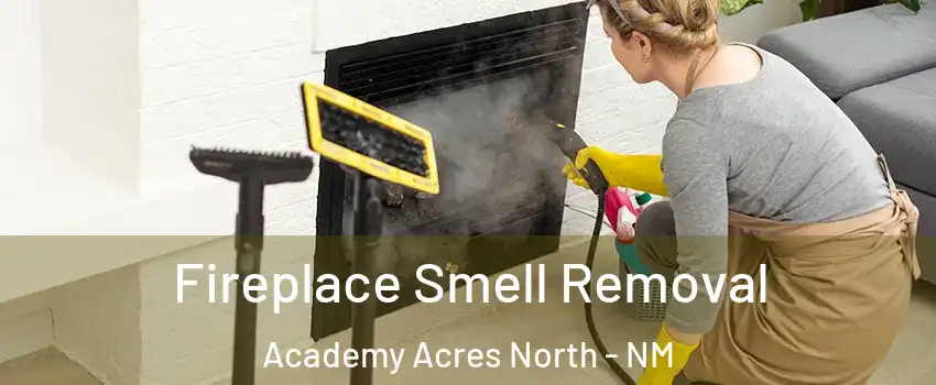 Fireplace Smell Removal Academy Acres North - NM