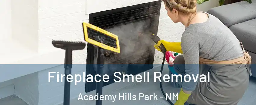 Fireplace Smell Removal Academy Hills Park - NM