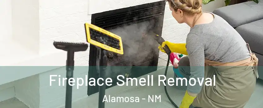 Fireplace Smell Removal Alamosa - NM