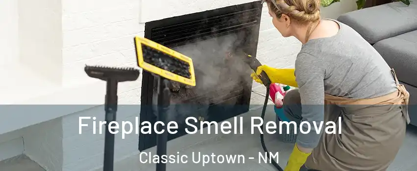 Fireplace Smell Removal Classic Uptown - NM