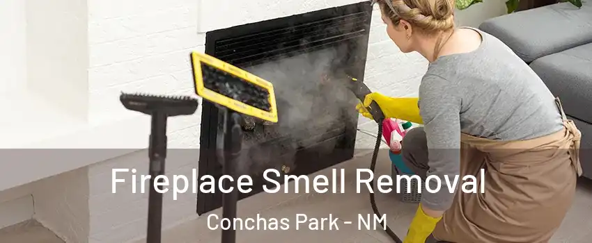 Fireplace Smell Removal Conchas Park - NM