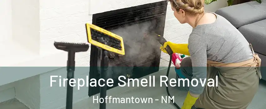 Fireplace Smell Removal Hoffmantown - NM