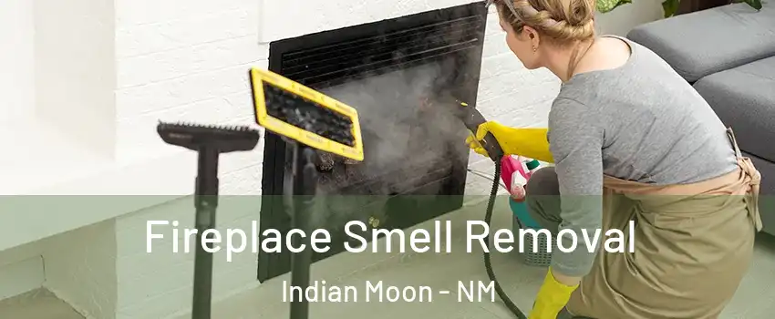 Fireplace Smell Removal Indian Moon - NM