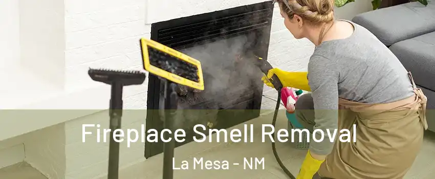 Fireplace Smell Removal La Mesa - NM