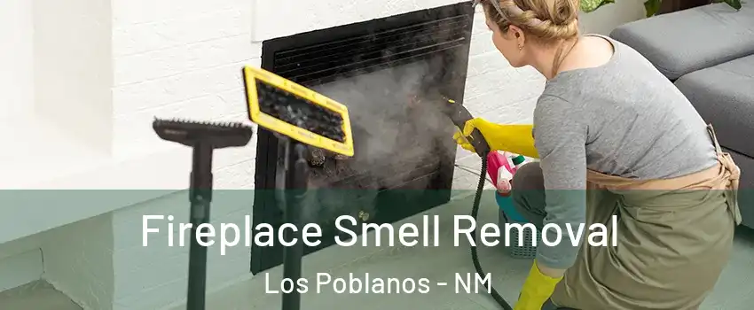 Fireplace Smell Removal Los Poblanos - NM