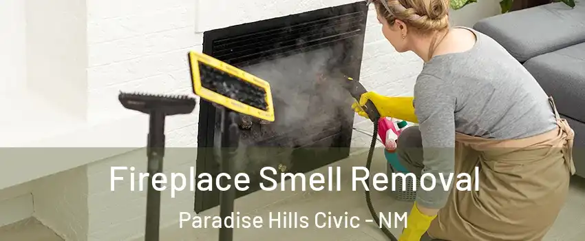 Fireplace Smell Removal Paradise Hills Civic - NM