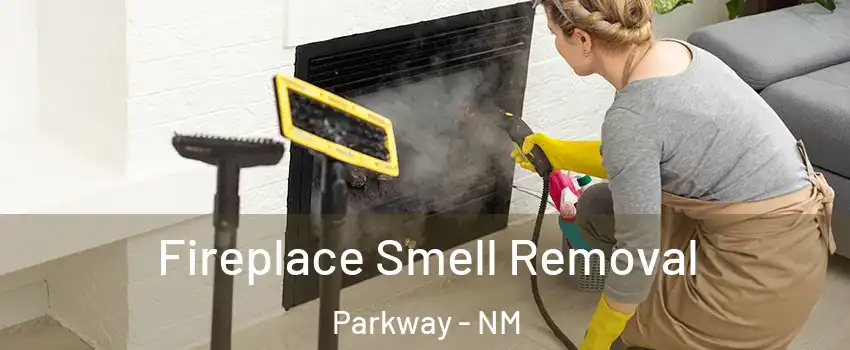 Fireplace Smell Removal Parkway - NM