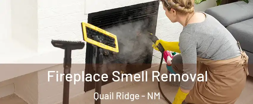 Fireplace Smell Removal Quail Ridge - NM