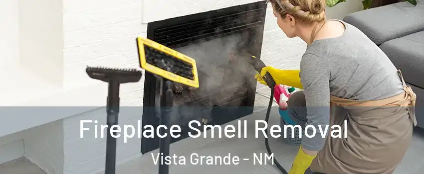 Fireplace Smell Removal Vista Grande - NM