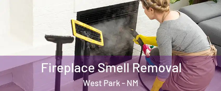 Fireplace Smell Removal West Park - NM