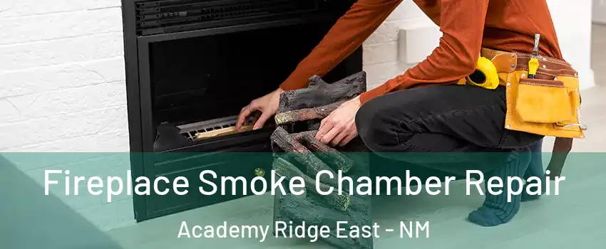 Fireplace Smoke Chamber Repair Academy Ridge East - NM