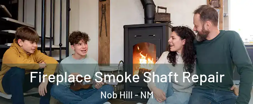 Fireplace Smoke Shaft Repair Nob Hill - NM