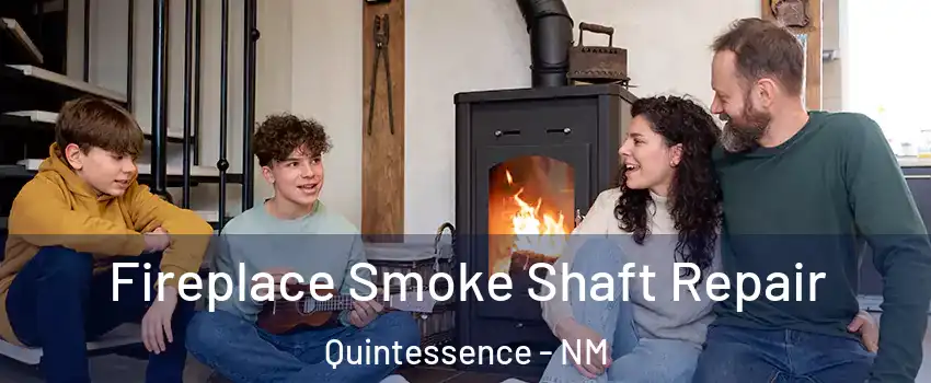 Fireplace Smoke Shaft Repair Quintessence - NM