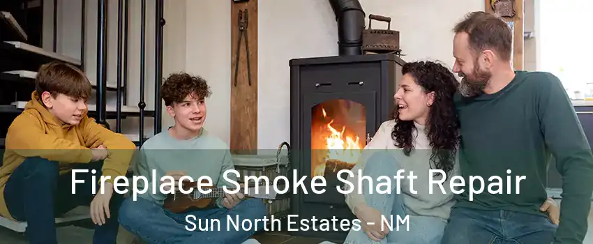 Fireplace Smoke Shaft Repair Sun North Estates - NM