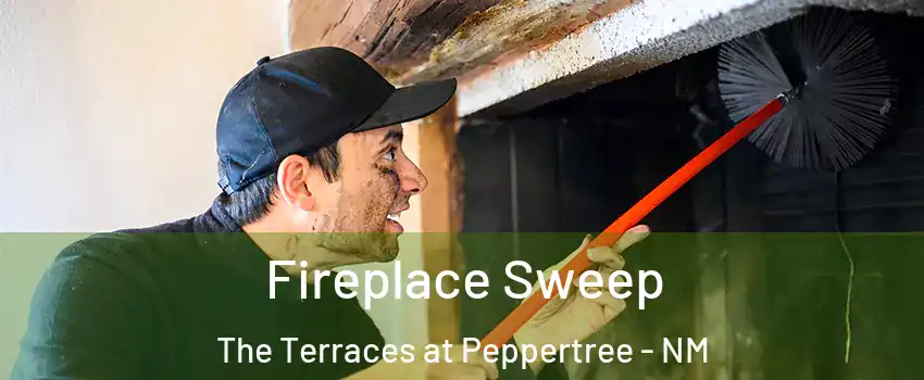 Fireplace Sweep The Terraces at Peppertree - NM