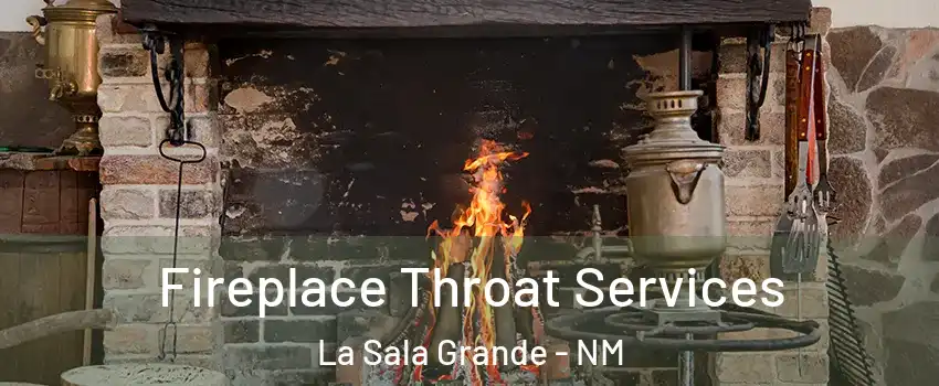 Fireplace Throat Services La Sala Grande - NM