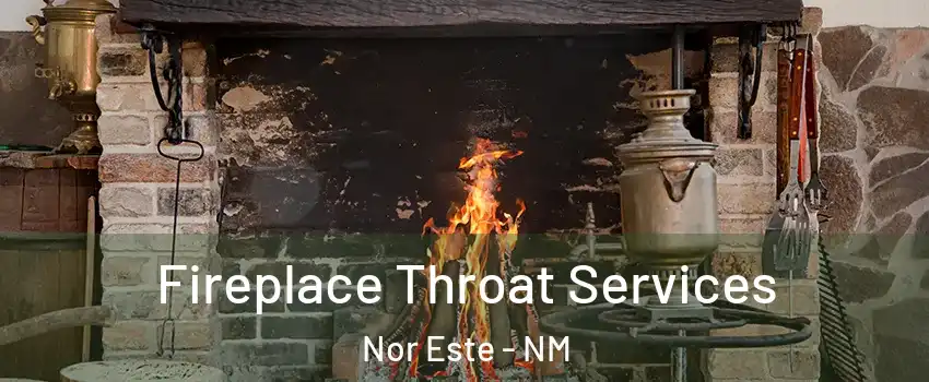 Fireplace Throat Services Nor Este - NM