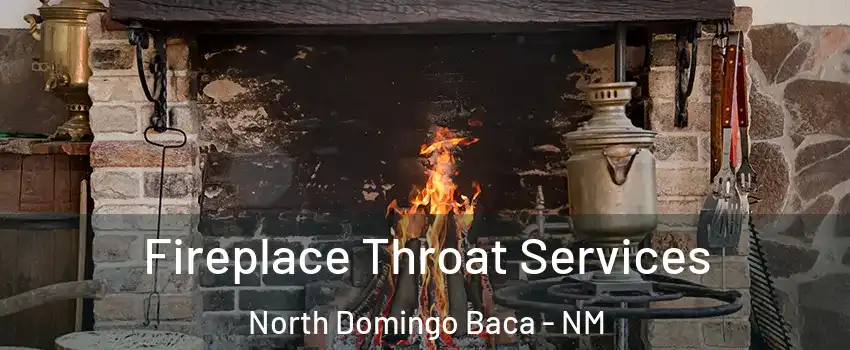 Fireplace Throat Services North Domingo Baca - NM