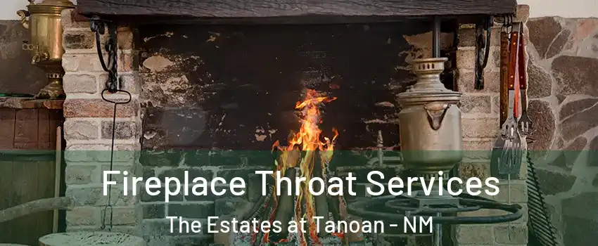 Fireplace Throat Services The Estates at Tanoan - NM