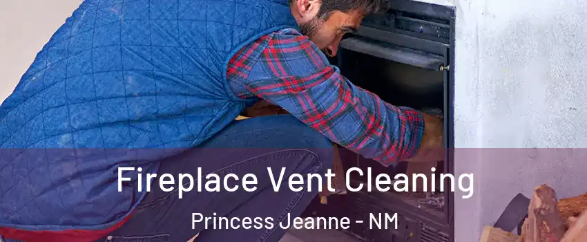 Fireplace Vent Cleaning Princess Jeanne - NM