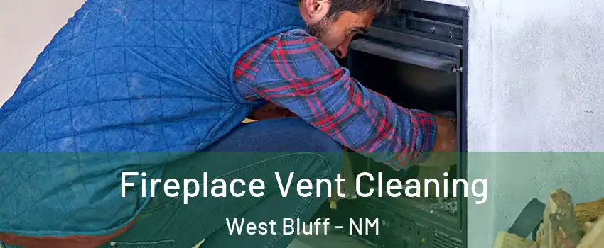 Fireplace Vent Cleaning West Bluff - NM