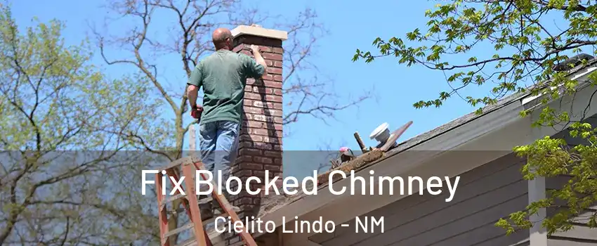 Fix Blocked Chimney Cielito Lindo - NM