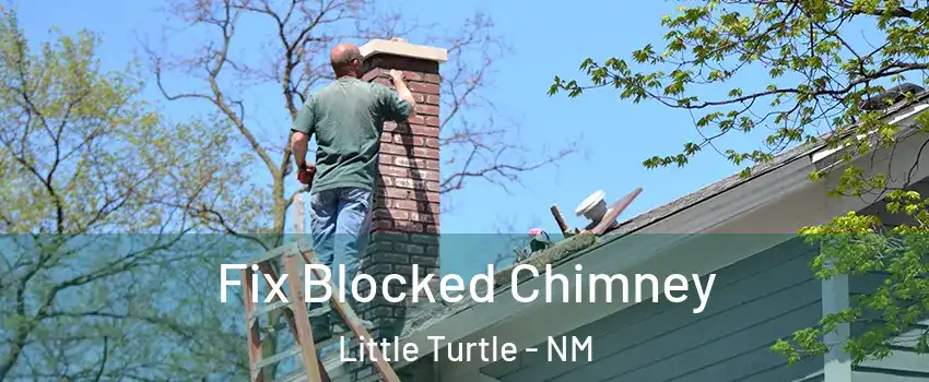 Fix Blocked Chimney Little Turtle - NM