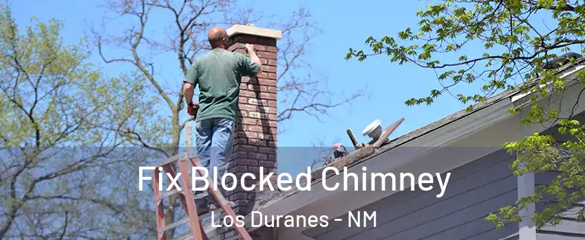 Fix Blocked Chimney Los Duranes - NM