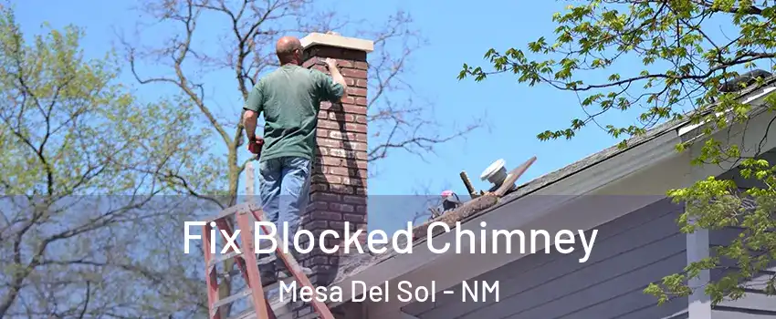 Fix Blocked Chimney Mesa Del Sol - NM