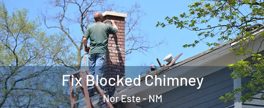 Fix Blocked Chimney Nor Este - NM