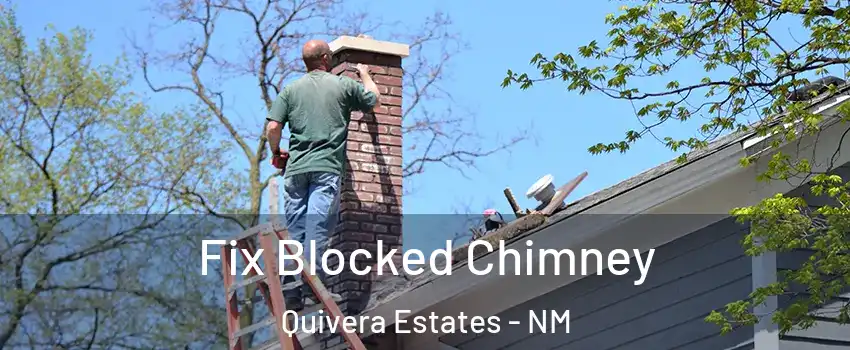 Fix Blocked Chimney Quivera Estates - NM