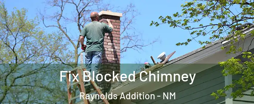 Fix Blocked Chimney Raynolds Addition - NM