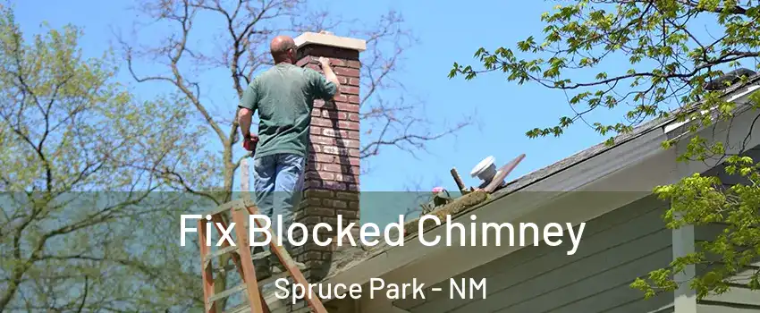 Fix Blocked Chimney Spruce Park - NM