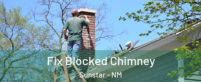 Fix Blocked Chimney Sunstar - NM